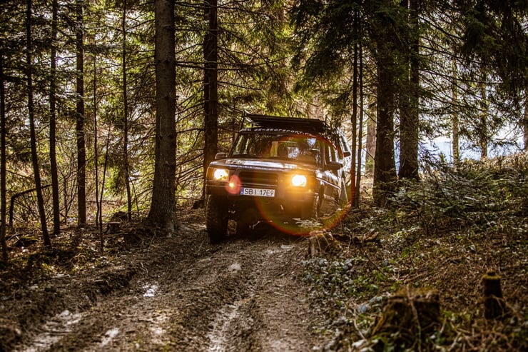 Off road w lesie